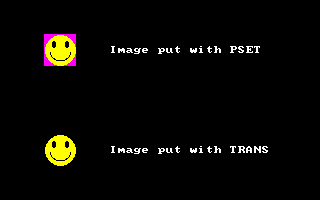 trans